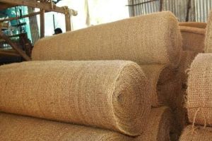 Manfaat Cocomesh untuk Proyek Revegetasi Lahan