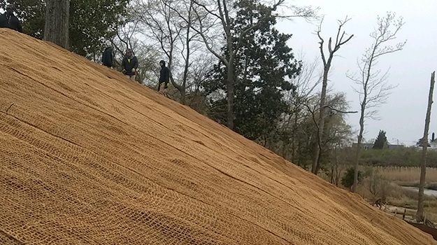 komunitas pengguna cocomesh