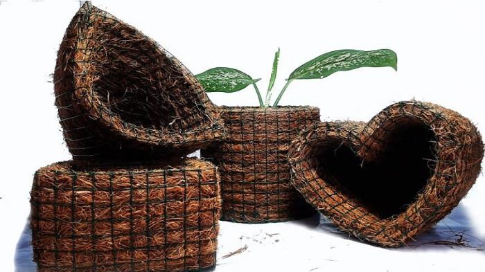 Pot Unik dari Sabut Kelapa Inovasi yang Bernilai Ekonomis