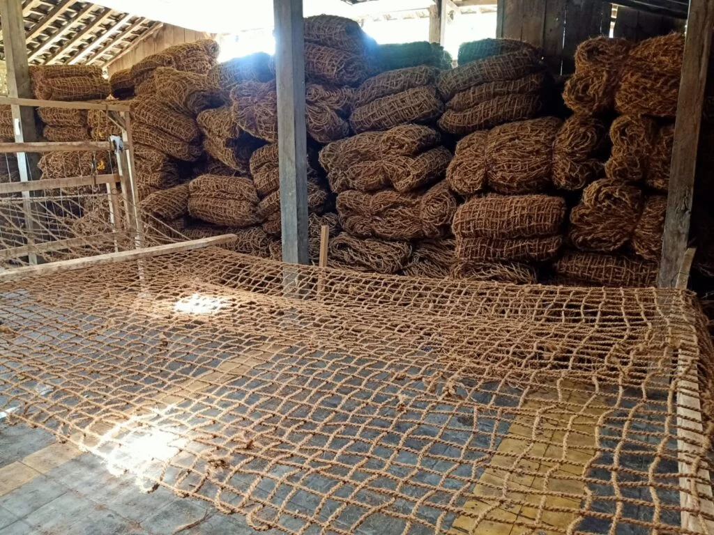 Cocomesh untuk Eco-Campus