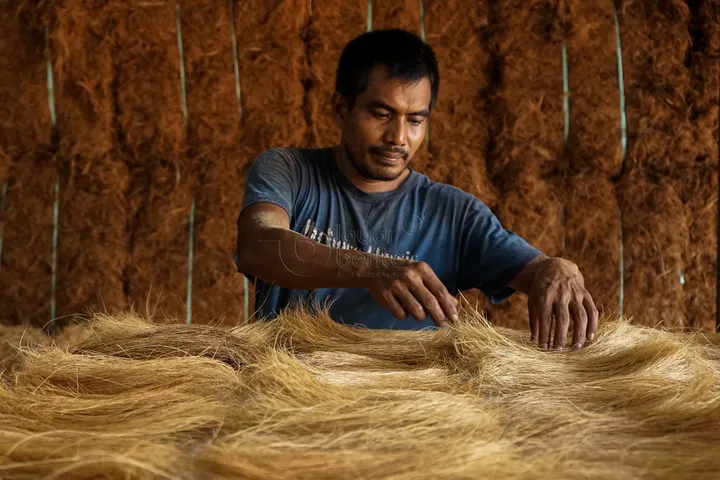 peluang bisnis sabut kelapa