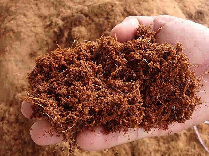 penutup tanah berbahan kelapa