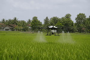 Cara Meningkatkan Produktivitas Lahan Sawah agar Hasil Panen Maksimal