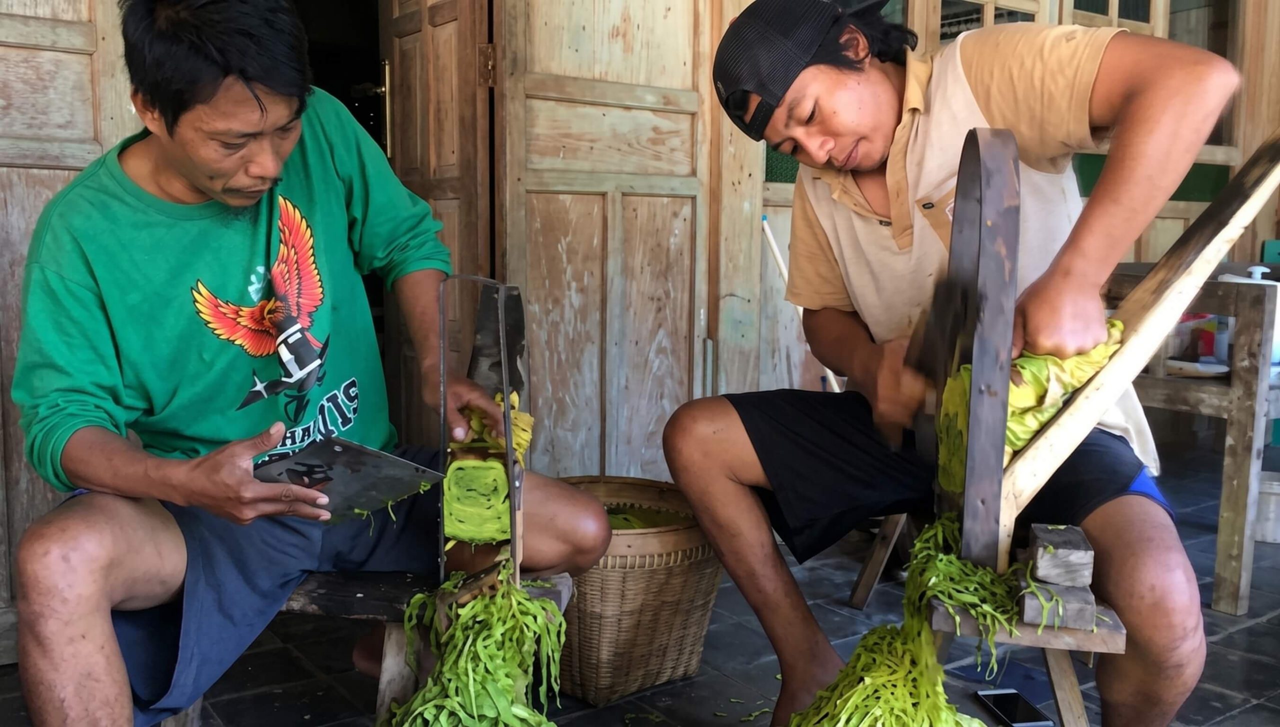 cara merajang daun tembakau