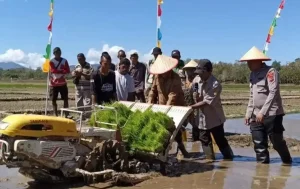 Manfaat Rice Transplanter untuk Petani dalam Era Modern