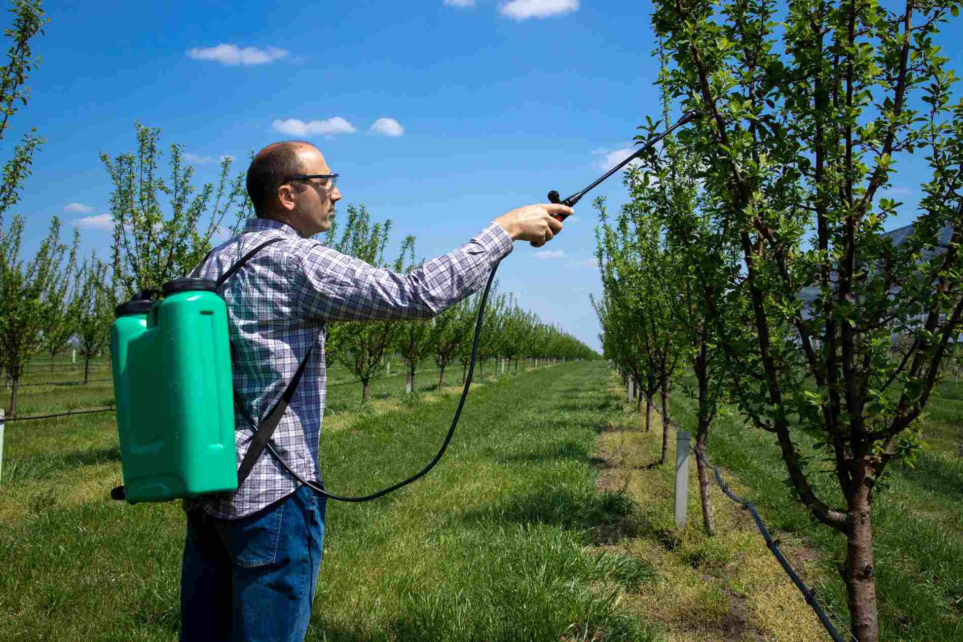 cara merawat hand sprayer elektrik