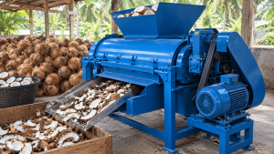 Cara Mengolah Kelapa untuk Kopra agar Hasilnya Maksimal